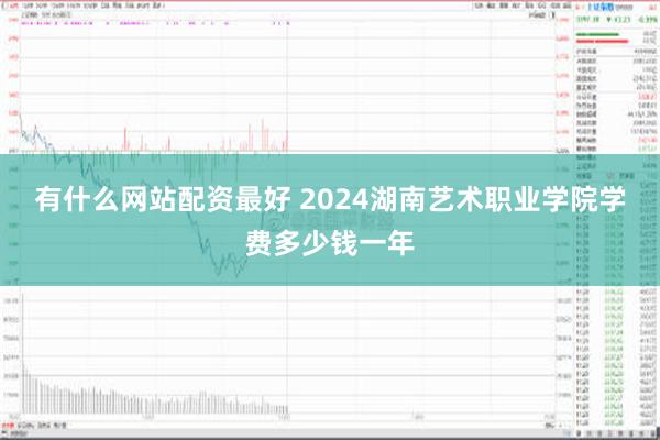 有什么网站配资最好 2024湖南艺术职业学院学费多少钱一年