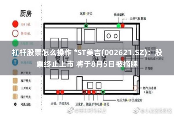 杠杆股票怎么操作 *ST美吉(002621.SZ)：股票终止上市 将于8月5日被摘牌