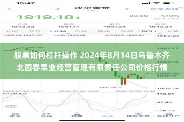 股票如何杠杆操作 2024年8月14日乌鲁木齐北园春果业经营管理有限责任公司价格行情