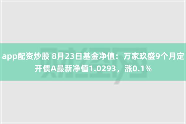 app配资炒股 8月23日基金净值：万家玖盛9个月定开债A最新净值1.0293，涨0.1%