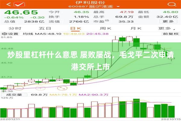 炒股里杠杆什么意思 屡败屡战，毛戈平二次申请港交所上市