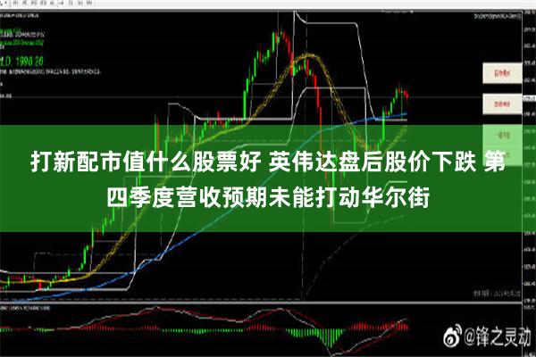 打新配市值什么股票好 英伟达盘后股价下跌 第四季度营收预期未能打动华尔街