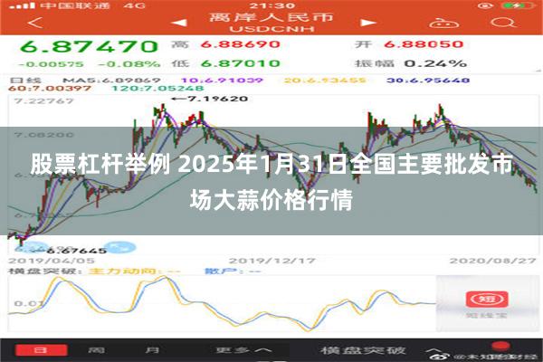 股票杠杆举例 2025年1月31日全国主要批发市场大蒜价格行情